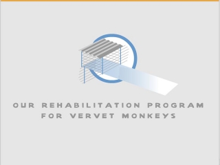 rehab1